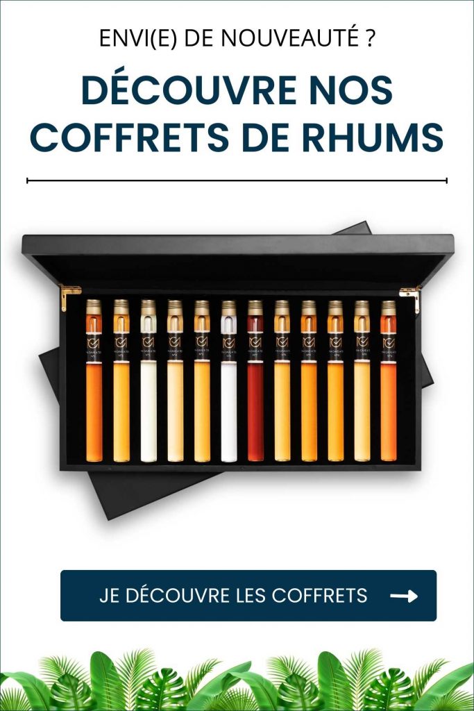 Quel verre choisir pour boire du rhum ?